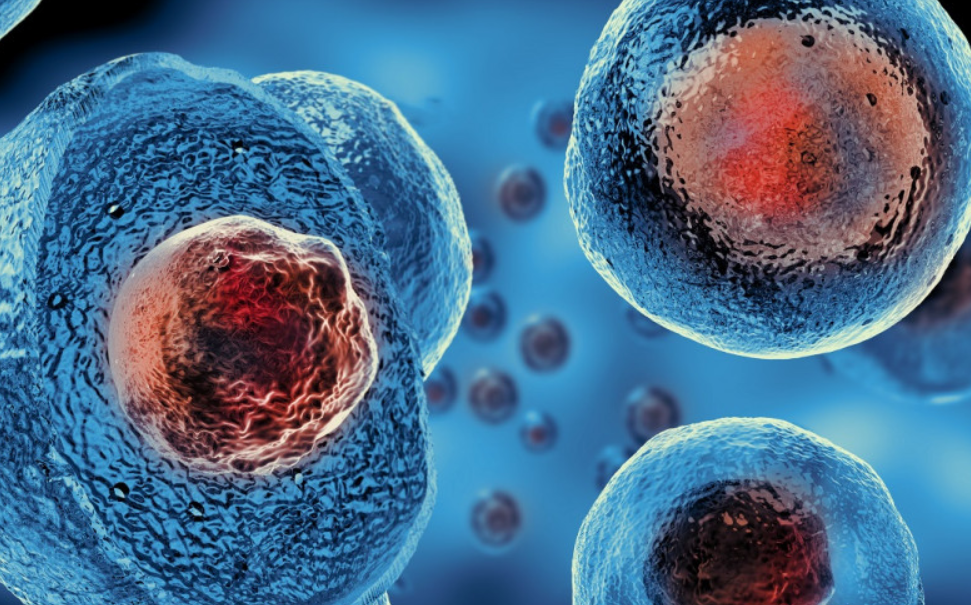 ¿En qué consiste la terapia fotodinámica?