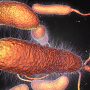 Infecciones mortales en EEUU, la bacteria come carne sigue siendo un gran riesgo