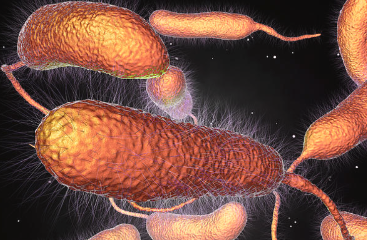 Infecciones mortales en EEUU, la bacteria come carne sigue siendo un gran riesgo