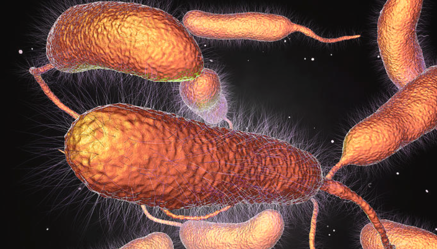 Infecciones mortales en EEUU, la bacteria come carne sigue siendo un gran riesgo