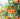 Nueva Zelanda quiere dar fruta gratis para combatir el hambre