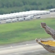 Florida prepara segundo 'Alligator Alcatraz' para encerrar a aún más migrantes