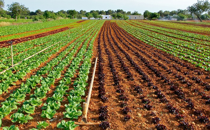 Retos y perspectivas a futuro