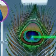 Crean un laser con una pluma de pavorreal, algo que parece de película