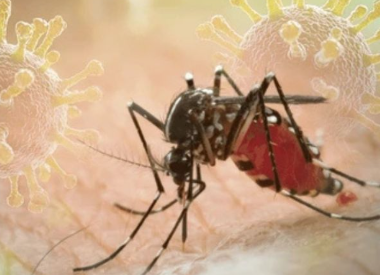 El chikungunya llega a China y los casos aumentan rápidamente