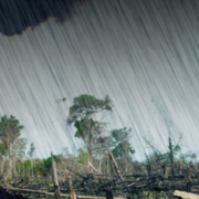 El agua de lluvia ya no se puede beber en ninguna parte del mundo