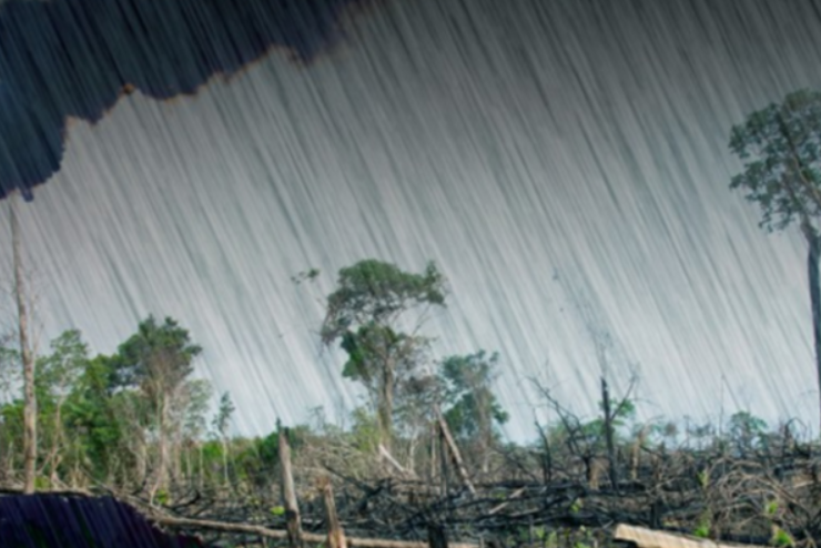 El agua de lluvia ya no se puede beber en ninguna parte del mundo
