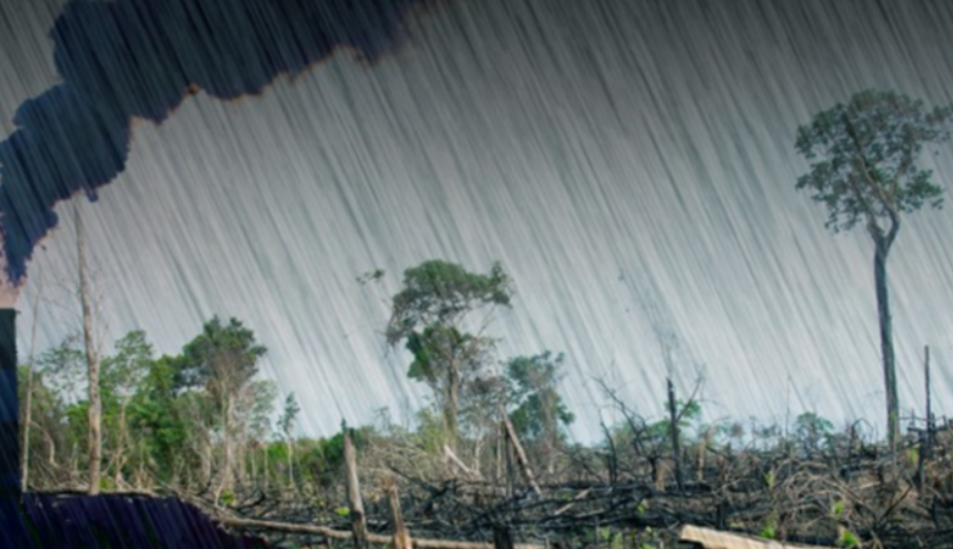 El agua de lluvia ya no se puede beber en ninguna parte del mundo
