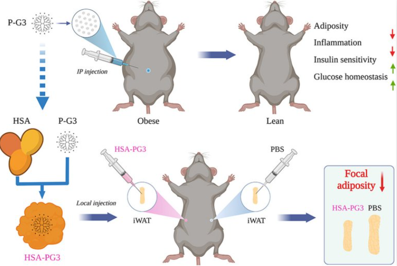 Resultados prometedores en pruebas científicas