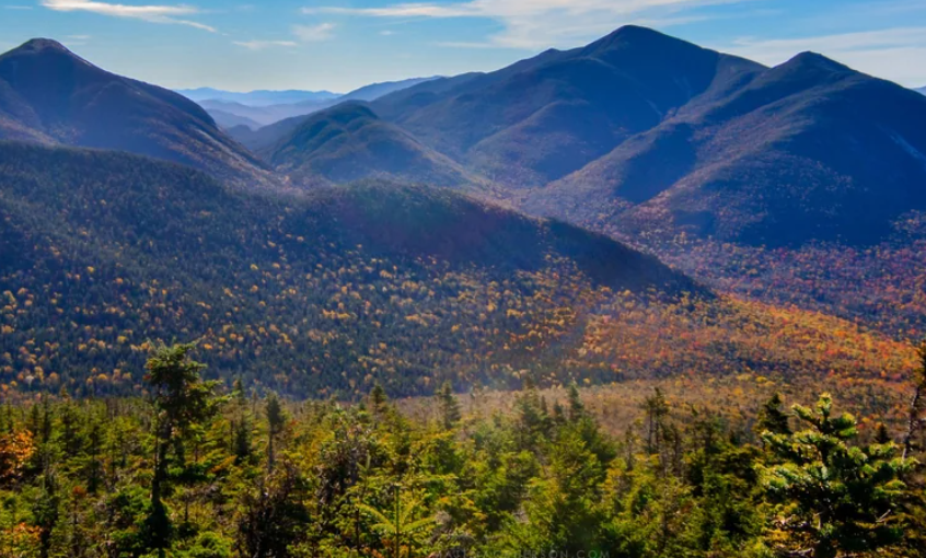 Multimillonario chino crea un santuario silvestre en Nueva York