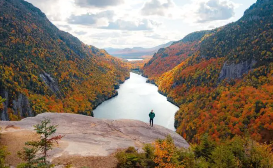 Filantropía ambiental con impacto global