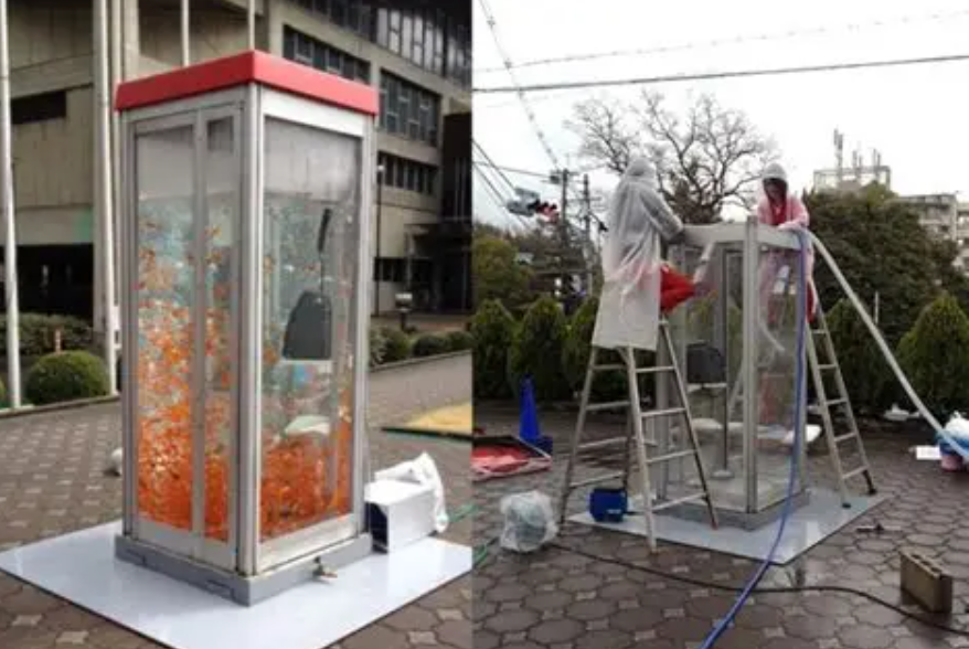 Arte urbano acuático: los peces dorados invaden Japón con estilo