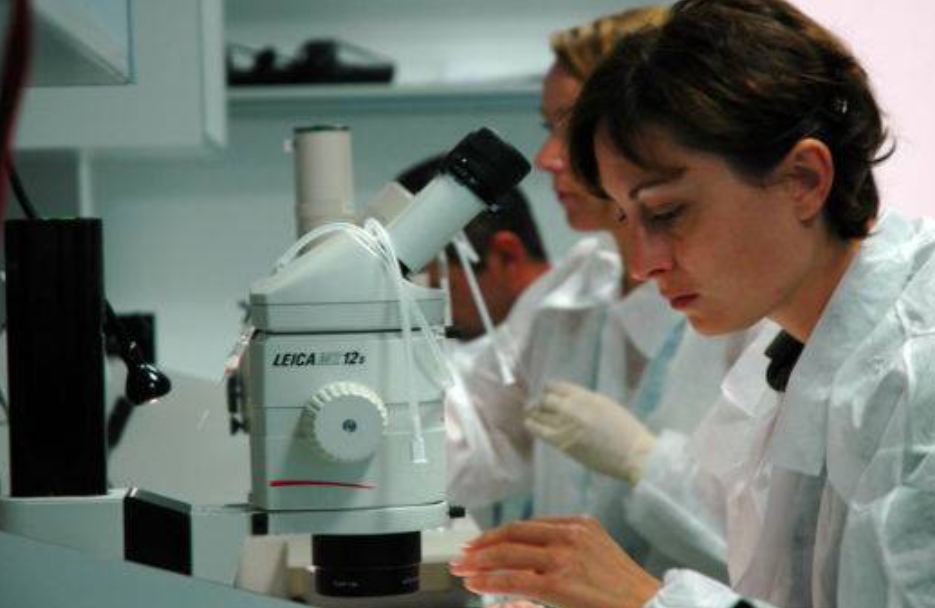 Un avance regenerativo con fuerza y vida propia