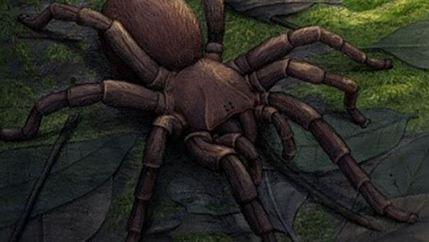 El Mioceno revelado: la selva perdida de Australia