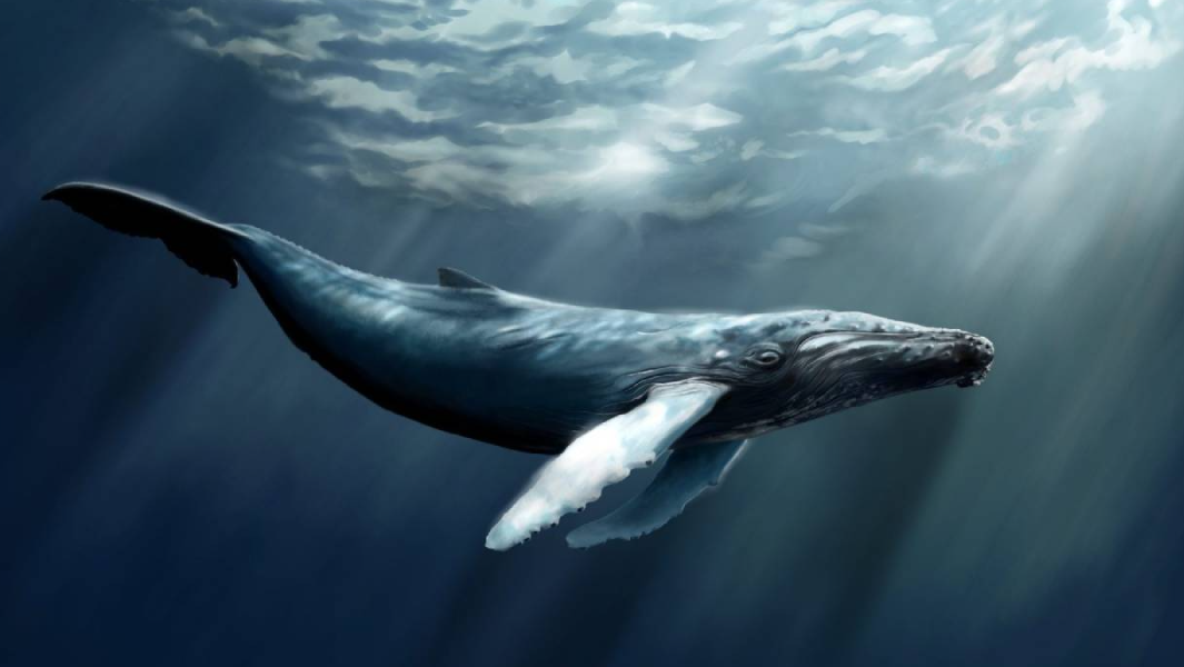 El rol del cambio climático y la temperatura oceánica