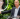 Jeff Bezos está de luto ya que falleció alguien muy importante para él