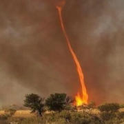 Un Gran Tornado de Fuego en Portugal Impacta al Mundo