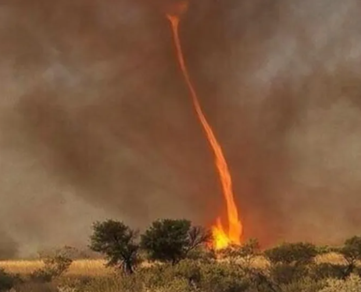 Un Gran Tornado de Fuego en Portugal Impacta al Mundo