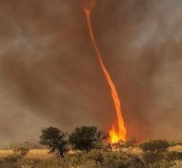 Un Gran Tornado de Fuego en Portugal Impacta al Mundo