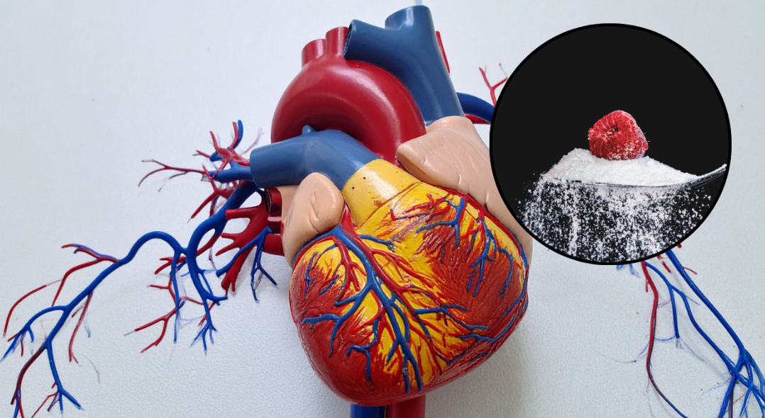 La azúcar daña más que el colesterol a nuestro corazón