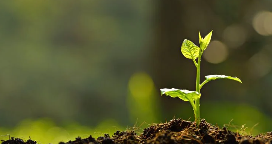 ¿Cuál es el impacto a futuro?