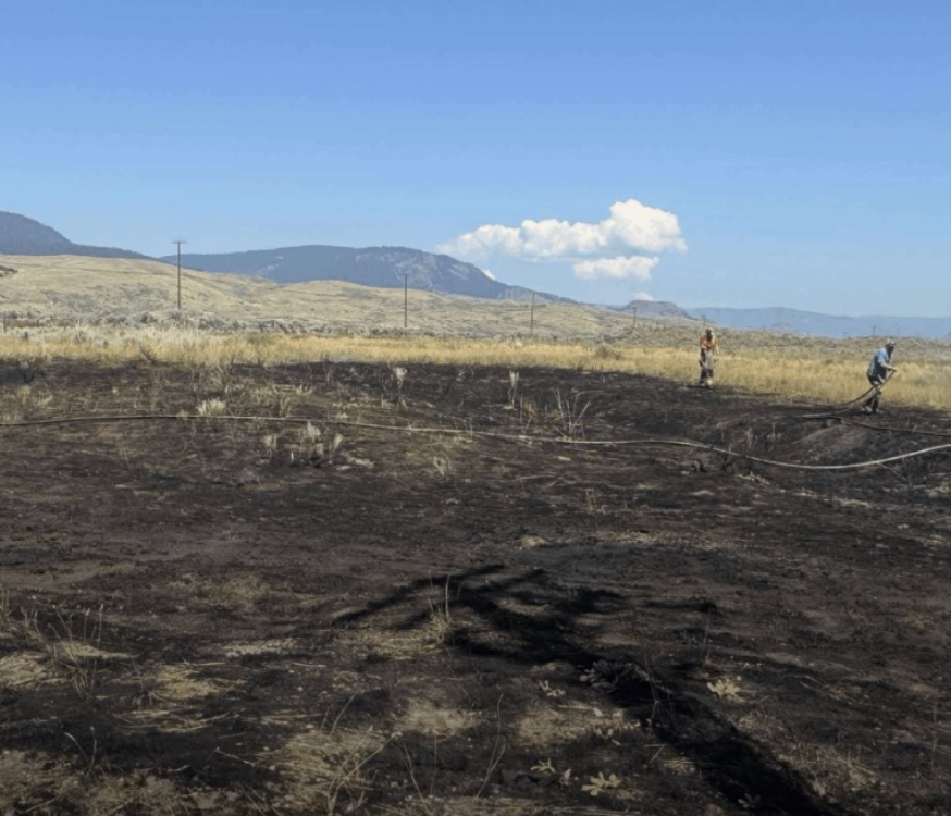 El impacto del incendio causado por un pez