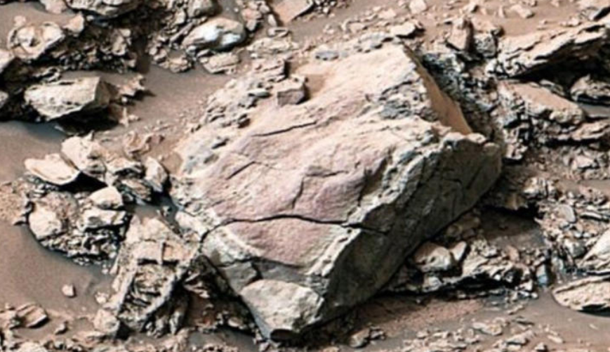 Un hallazgo inesperado en la ladera del monte Sharp