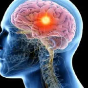 Niños tienen actividad cerebral de un soldado. El daño que causa el maltrato