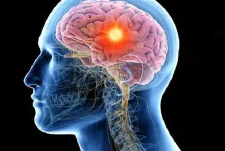 Niños tienen actividad cerebral de un soldado. El daño que causa el maltrato