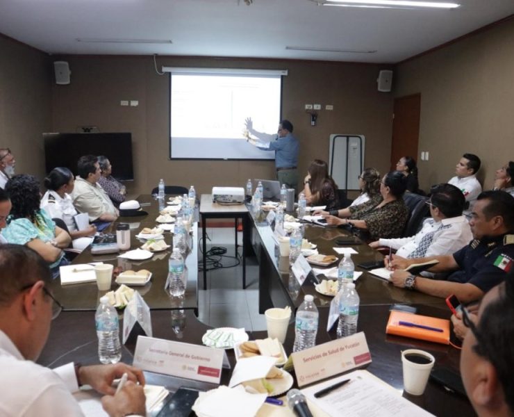 Comité interinstitucional descarta presencia de marea roja en Yucatán