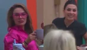 Antes de la segunda fiesta temática de la tercera temporada de La Casa De Los Famosos México, Ninel Conde y Dalilah Polanco se enfrentaron por el robo de salvación.