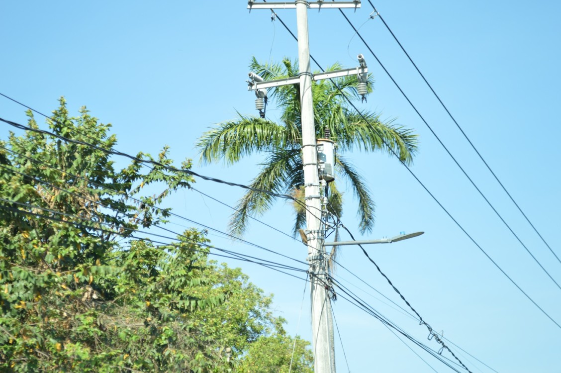 No hay avance en la licitación de la subestación de la CFE en la Península de Atasta