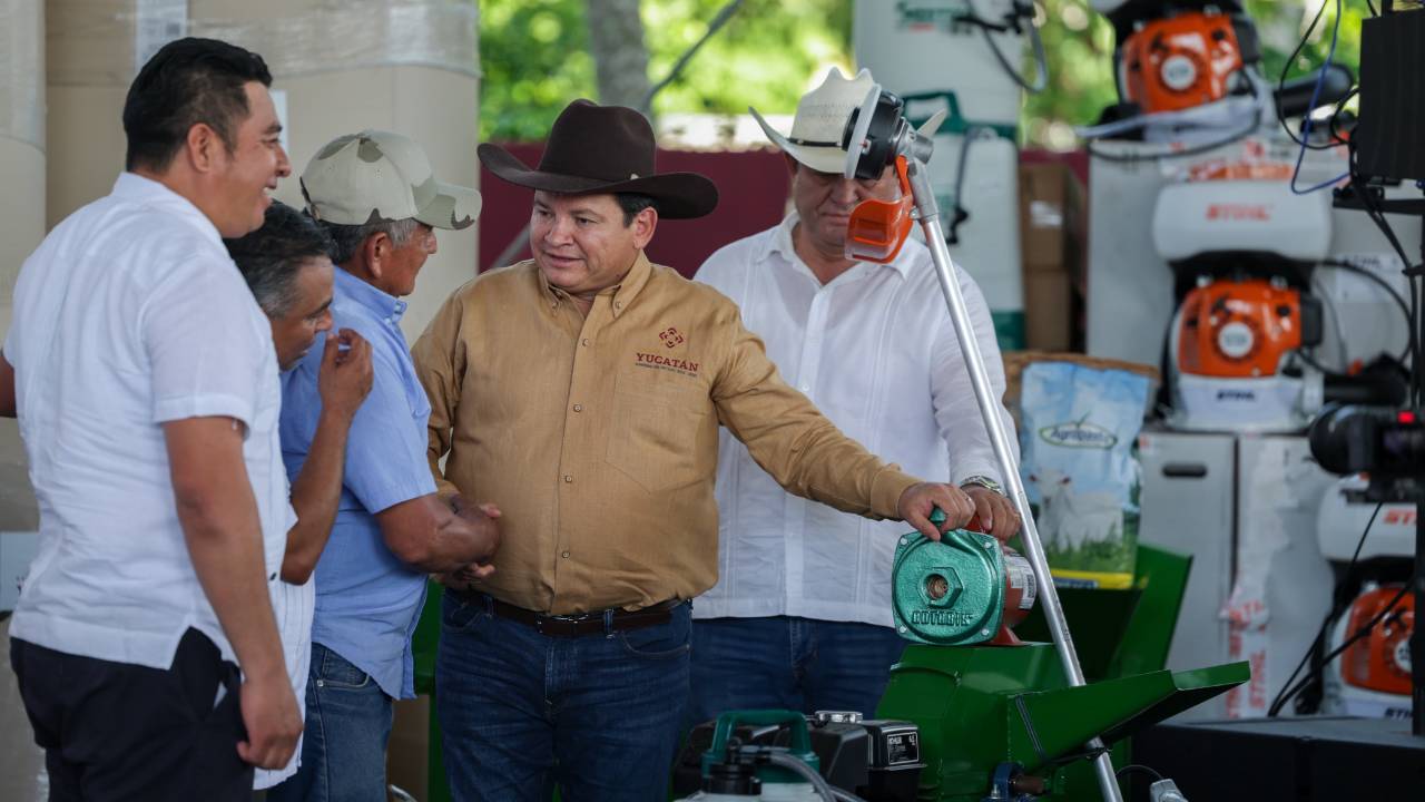El sur de Yucatán florece Avanza el Renacimiento Agropecuario