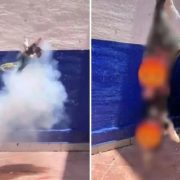 Estudiantes matan a gatito con pirotecnia y lo presumen