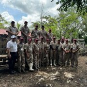 Gobierno del Estado intensifica control del gusano barrenador en Yucatán