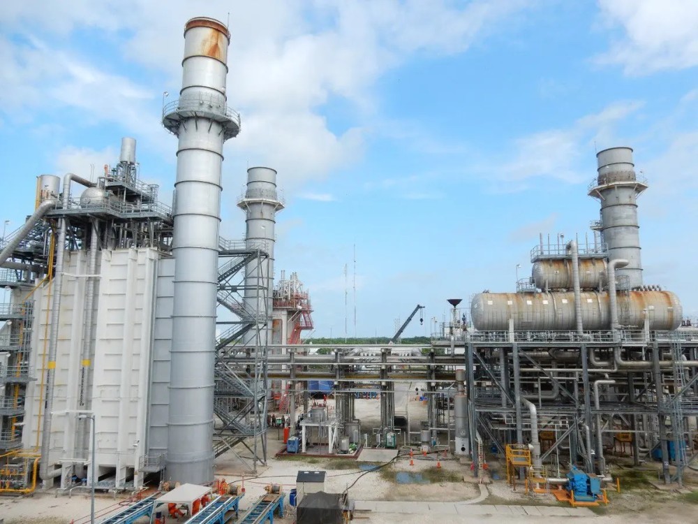 La Planta de Nitrógeno Cantarell mata a millones de larvas de especies marinas