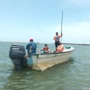 Séptimo torneo de pesca deportiva de especies varias