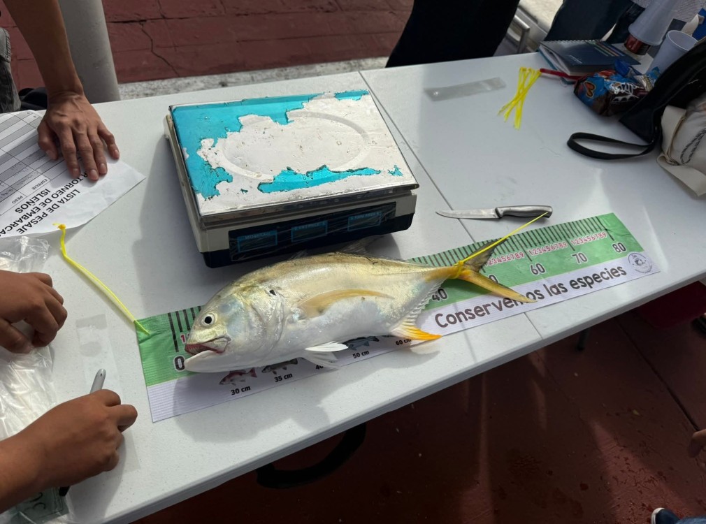 Séptimo torneo de pesca deportiva de especies varias