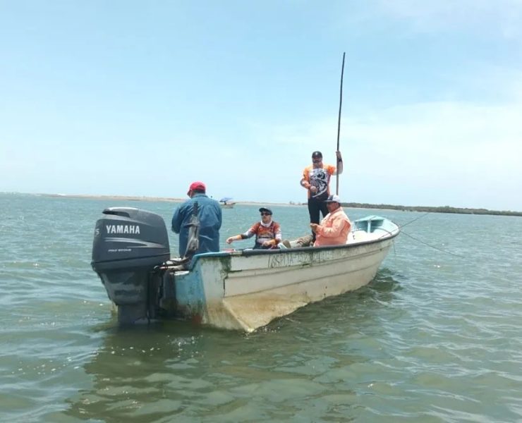 Séptimo torneo de pesca deportiva de especies varias