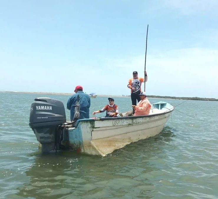 Séptimo torneo de pesca deportiva de especies varias