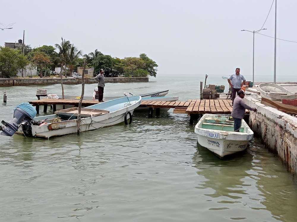 Costas del municipio de Carmen libre de marea roja