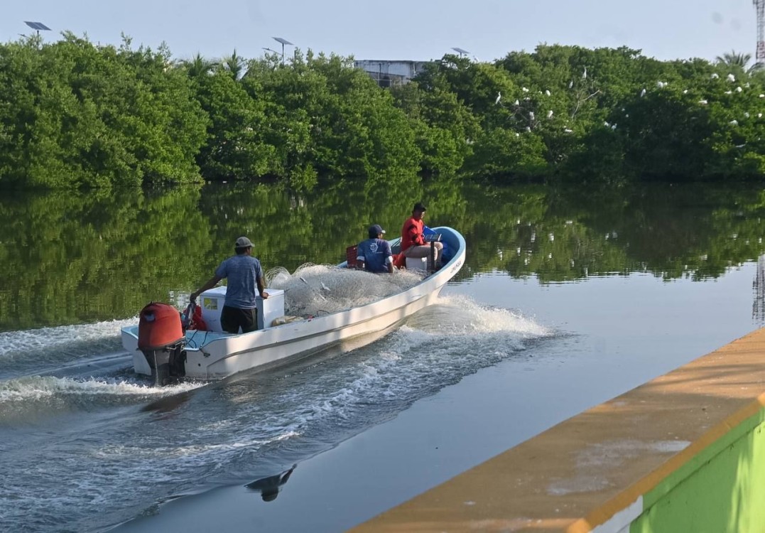 Líder pesquero exhorta a pescadores a tomar precaución en el mar
