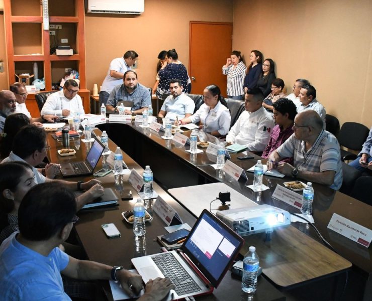 Refuerzan acciones interinstitucionales ante fenómeno de marea roja