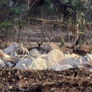 SEMA de Quintana Roo revocará autorización ambiental al desarrollo Legacy