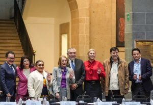 La senadora yucateca Verónica Camino Farjat es vicepresidenta electa del Senado, marcando un hecho histórico en la política nacional.