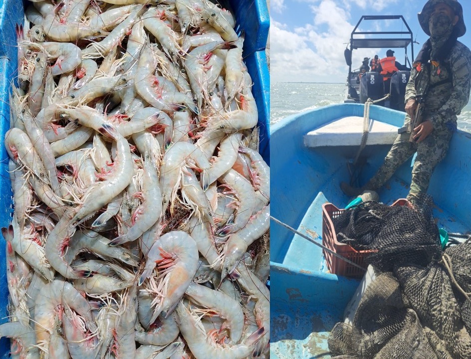 Marina asegura lancha con camarón vedado