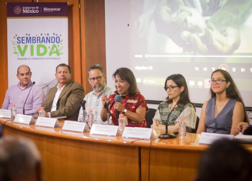 Ciencia e innovación se suman al campo: Sembrando Vida se fortalece con apoyo de la Secihti