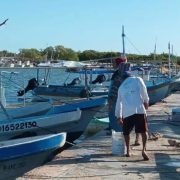 ¡Alerta en el mar! Pescadores de Yucatán enfrentan crisis por la Marea Roja