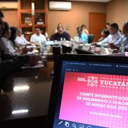 Playas bajo vigilancia: Yucatán activa banderas por marea roja