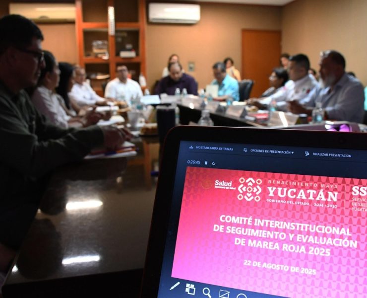 Playas bajo vigilancia: Yucatán activa banderas por marea roja